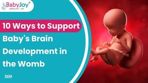 10 Ways to Support Baby's Brain Development in the Womb