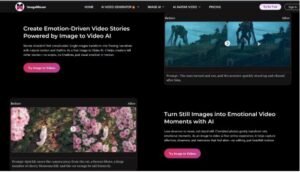 When an image is uploaded, the AI studies several elements:
