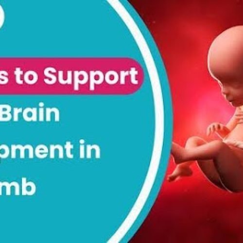 10 Ways to Support Baby’s Brain Development in the Womb