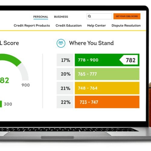 How to Check Your CIBIL Score Online: A Complete Guide