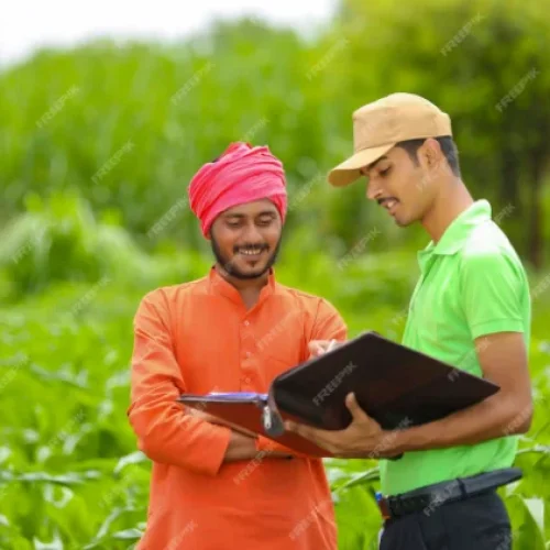 How Government-Backed Crop Loans Can Boost Agricultural Productivity in India