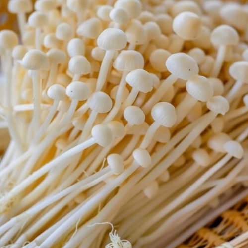 Enoki Mushrooms