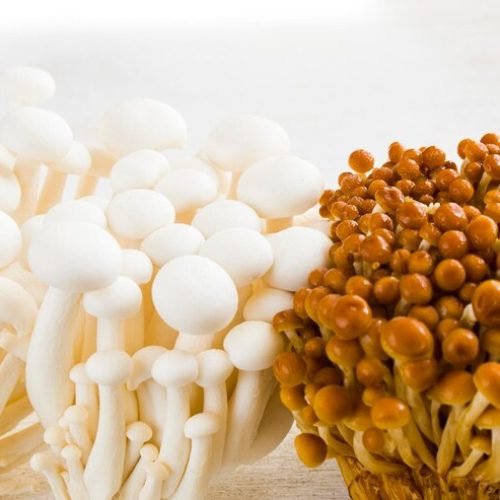 Exploring the Health Benefits of Enoki Mushrooms