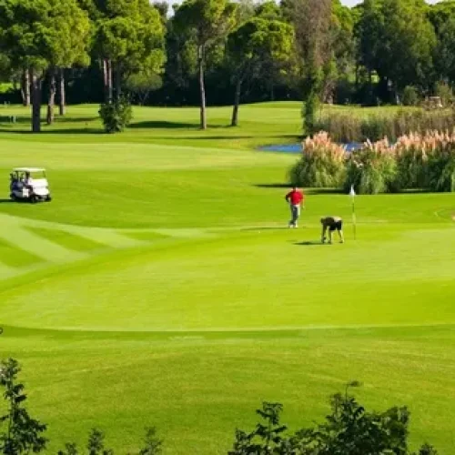 The Best Golfing Destinations in the Middle East: Tee Off at Ayla Golf Club