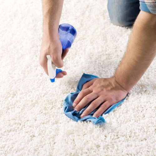 How to Handle Carpet Stains Like a Pro