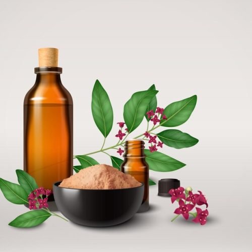 The Healing Power of Murivenna Thailam: Nature’s Remedy for Skin and Muscle Care
