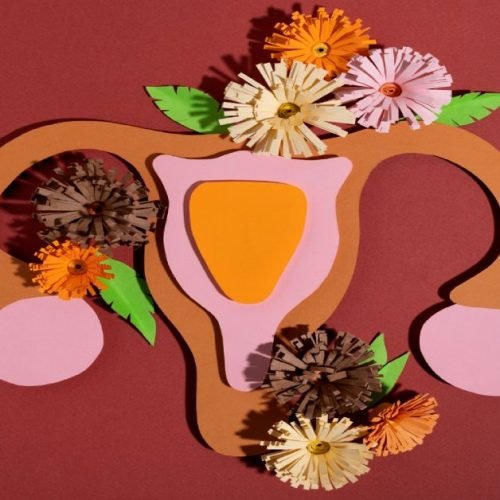 PCOD Vs PCOS – technotrics.com