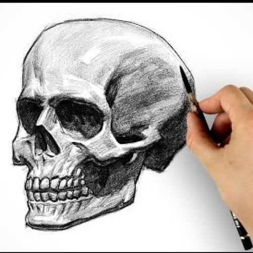 Drawing:Oldj_7nsvxk= Skull