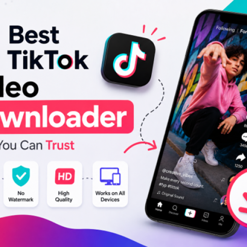 Best TikTok Video Downloader