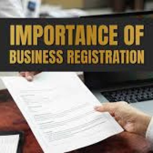 The Importance of a Business Plan in the Company Registration Process